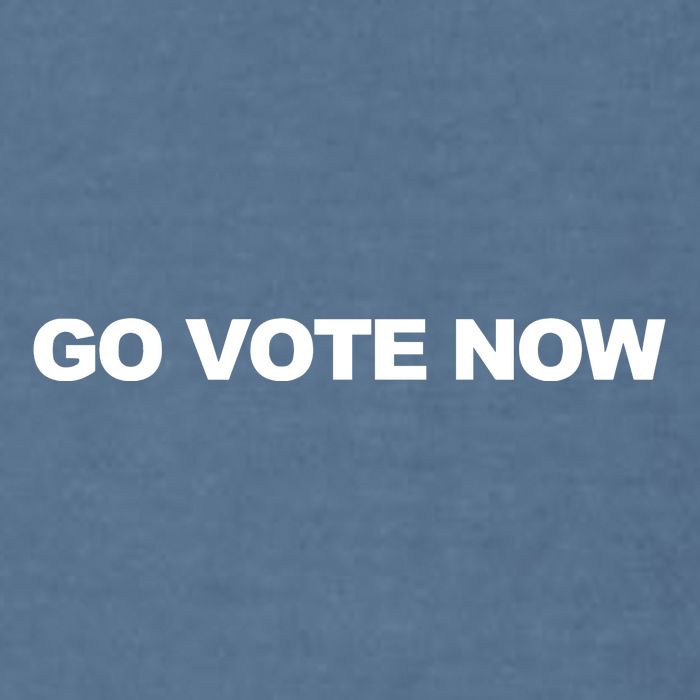 Charlie Kirk Wearing Go Vote Now Garment-Dyed Sweatshirt