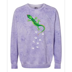 Cool Lizard Art Men Women Herpetology Reptile Lizard Lover Colorblast Crewneck Sweatshirt