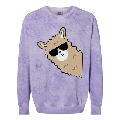 Cute Llama Alpaca With Sunglasses Funny Llama Colorblast Crewneck Sweatshirt