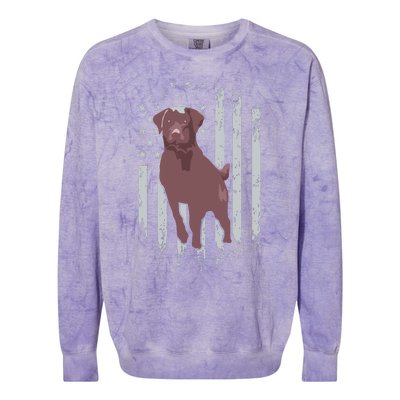 Chocolate Lab American Flag Brown Labrador Retriever Owner Colorblast Crewneck Sweatshirt