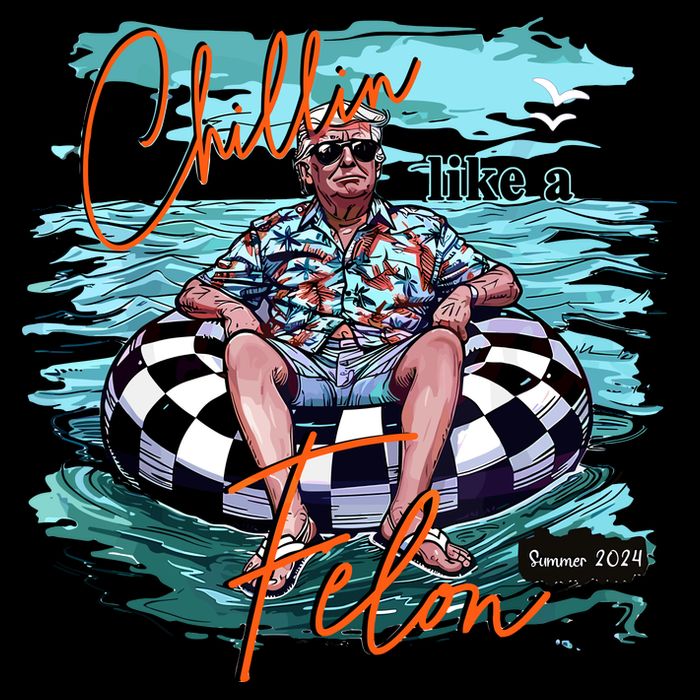 Chillin Like A Felon Trump For President 2024 Retro Summer Hoodie