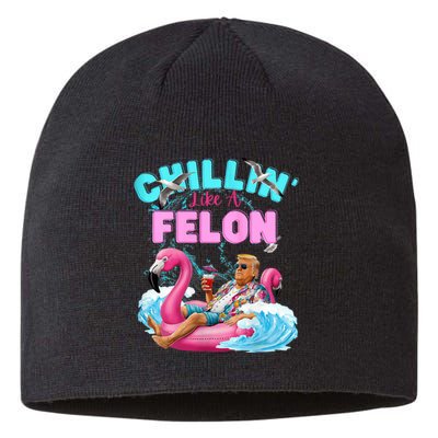 Chillin Like A Felon Summer Retro Pool Sustainable Beanie