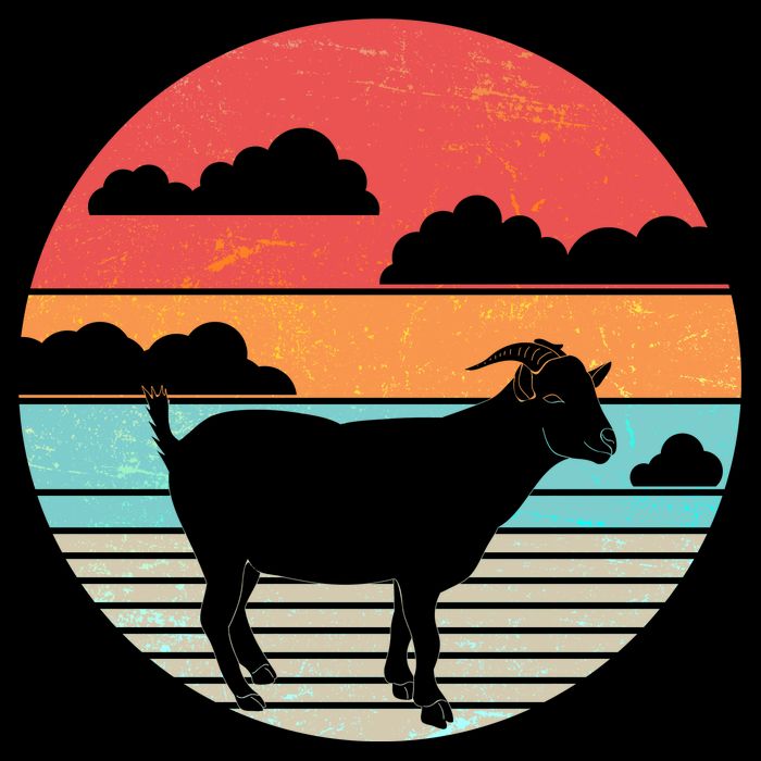 Classic Retro Goat Wool Snapback Cap