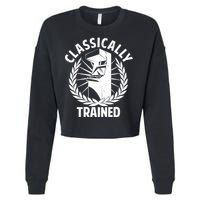 Classically Trained Cropped Pullover Crew