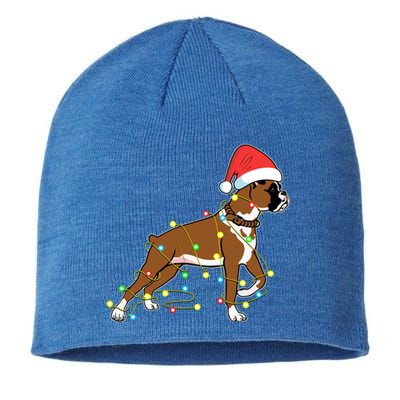 Christmas Lights Boxer Dog Lover Funny Gift Sustainable Beanie