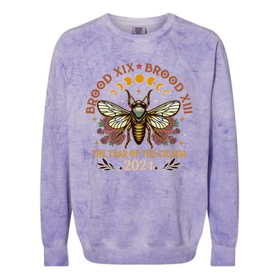 Cicada Lover Brood Xix Brood Xiii Year Of The Cicada 2024 Colorblast Crewneck Sweatshirt