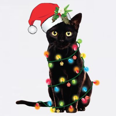 Christmas Lights Black Cat Santa T-Shirt