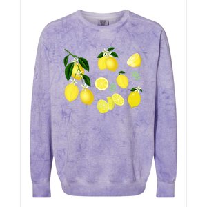 Cute Lemon Botanical Gardening Summertime Lemon Lover Great Gift Colorblast Crewneck Sweatshirt