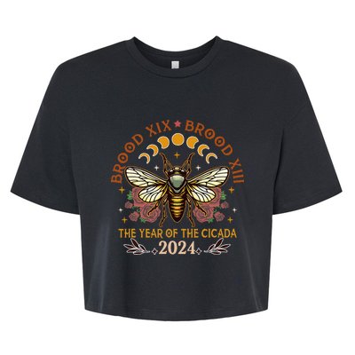 Cicada Lover Brood Xix Brood Xiii Year Of The Cicada 2024 Bella+Canvas Jersey Crop Tee