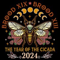 Cicada Lover Brood Xix Brood Xiii Year Of The Cicada 2024 Drawstring Bag