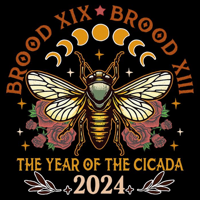 Cicada Lover Brood Xix Brood Xiii Year Of The Cicada 2024 Drawstring Bag