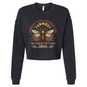 Cicada Lover Brood Xix Brood Xiii Year Of The Cicada 2024 Cropped Pullover Crew