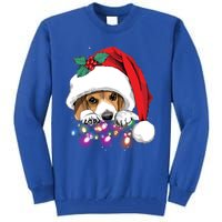 Christmas Lights Beagle Funny Dog Xmas Cool Gift Tall Sweatshirt