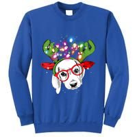 Christmas Lights Beagle Funny Xmas Funny Gift Sweatshirt