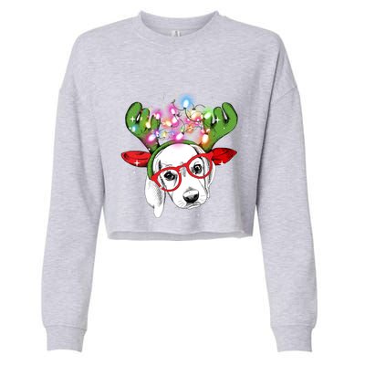 Christmas Lights Beagle Funny Xmas Funny Gift Cropped Pullover Crew