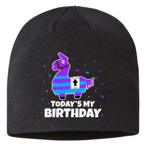 Cute Llama Birthday Party Celebration Sustainable Beanie