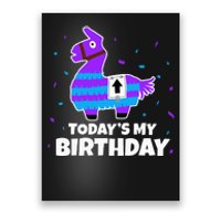 Cute Llama Birthday Party Celebration Poster