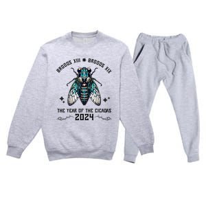 Cicada Lover Brood Xix Brood Xiii Year Of The Cicada 2024 Premium Crewneck Sweatsuit Set