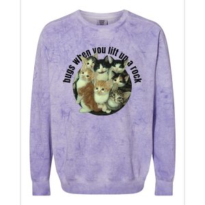 Cat Lover Bugs When You Lift Up A Rock Kitten Pet Cats Colorblast Crewneck Sweatshirt