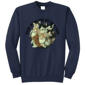 Cat Lover Bugs When You Lift Up A Rock Kitten Pet Cats Sweatshirt