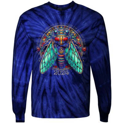 Cicada Lover Brood Xix Brood Xiii Year Of The Cicada 2024 Tie-Dye Long Sleeve Shirt