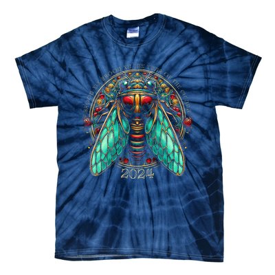 Cicada Lover Brood Xix Brood Xiii Year Of The Cicada 2024 Tie-Dye T-Shirt