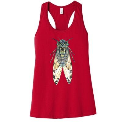 Cicada Lover Cicada Fest 2024 Funny Bug Lover Entomologist Summertime Women's Racerback Tank