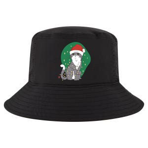 Christmas Lights Cute Cat Cool Comfort Performance Bucket Hat