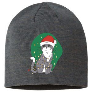 Christmas Lights Cute Cat Sustainable Beanie