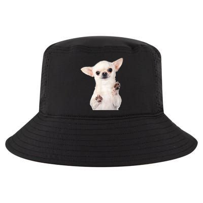 Cute Little Chihuahua Puppy Dog Face For Pet Owners Cool Comfort Performance Bucket Hat