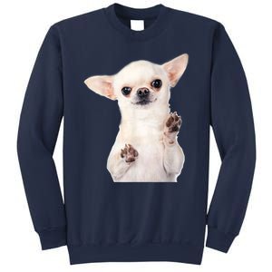 Cute Little Chihuahua Puppy Dog Face For Pet Owners Sweatshirt