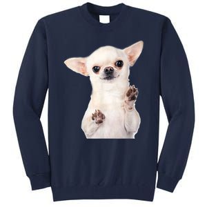 Cute Little Chihuahua Puppy Dog Face For Pet Owners Tall Sweatshirt