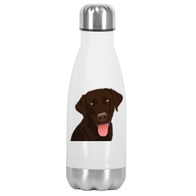 Chocolate Lab Stainless Steel Insulated Water Bottle