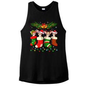 Christmas Light Chihuahua Dog In Christmas Sock Gift Ladies PosiCharge Tri-Blend Wicking Tank