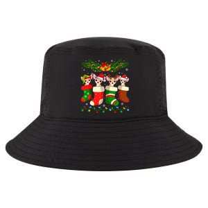 Christmas Light Chihuahua Dog In Christmas Sock Gift Cool Comfort Performance Bucket Hat