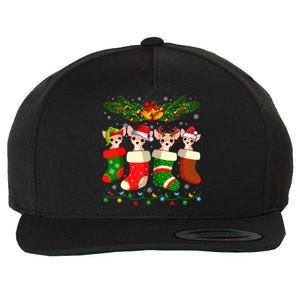 Christmas Light Chihuahua Dog In Christmas Sock Gift Wool Snapback Cap