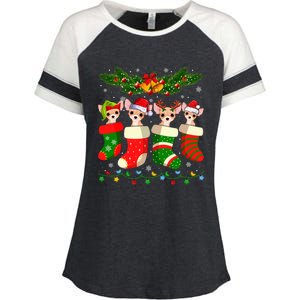 Christmas Light Chihuahua Dog In Christmas Sock Gift Enza Ladies Jersey Colorblock Tee