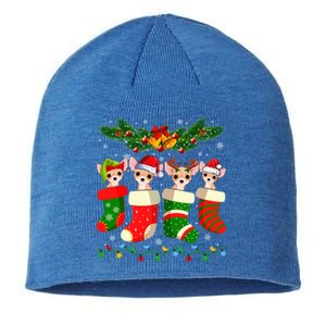 Christmas Light Chihuahua Dog In Christmas Sock Gift Sustainable Beanie