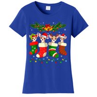 Christmas Light Chihuahua Dog In Christmas Sock Gift Women's T-Shirt