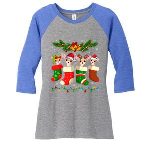 Christmas Light Chihuahua Dog In Christmas Sock Gift Women's Tri-Blend 3/4-Sleeve Raglan Shirt