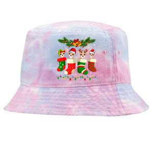 Christmas Light Chihuahua Dog In Christmas Sock Gift Tie-Dyed Bucket Hat