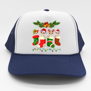 Christmas Light Chihuahua Dog In Christmas Sock Gift Trucker Hat