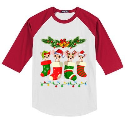 Christmas Light Chihuahua Dog In Christmas Sock Gift Kids Colorblock Raglan Jersey