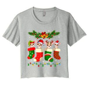 Christmas Light Chihuahua Dog In Christmas Sock Gift Women's Crop Top Tee