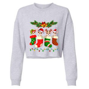 Christmas Light Chihuahua Dog In Christmas Sock Gift Cropped Pullover Crew