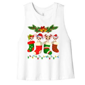 Christmas Light Chihuahua Dog In Christmas Sock Gift Women's Racerback Cropped Tank