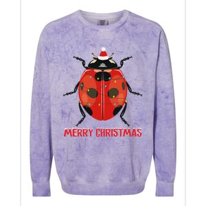 Cute Ladybug Christmas Tree Lights Great Gift Colorblast Crewneck Sweatshirt