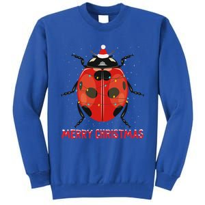 Cute Ladybug Christmas Tree Lights Great Gift Tall Sweatshirt