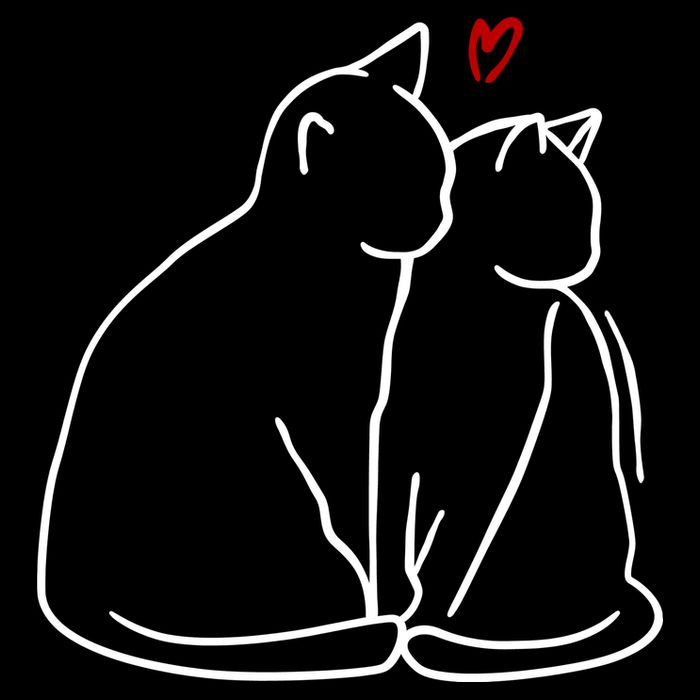Cat Lover Cute Valentine Tie-Dye T-Shirt