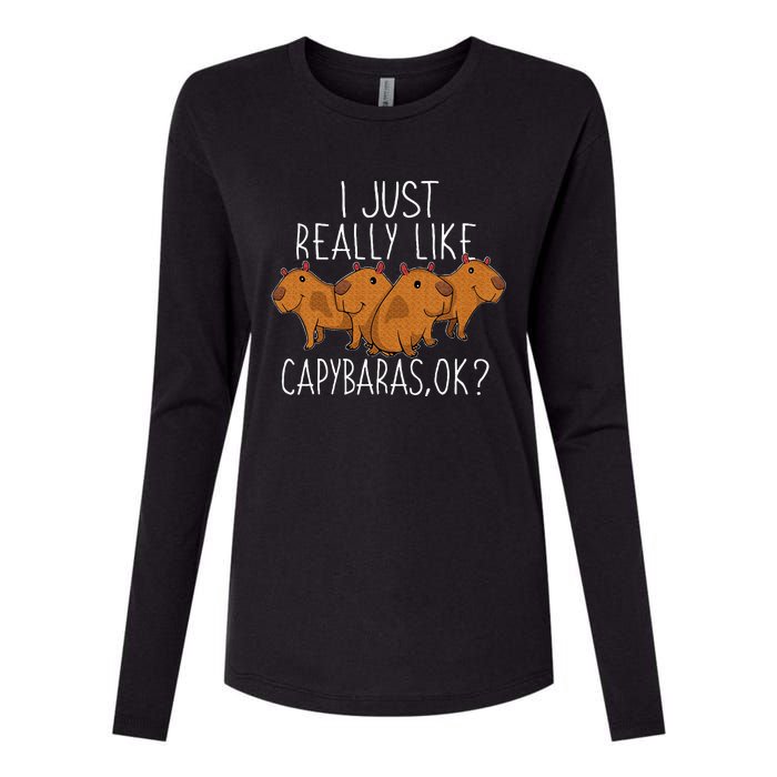 Capybara Lover Womens Cotton Relaxed Long Sleeve T-Shirt